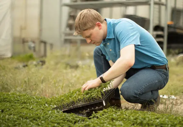 Certifications image 13 (name farming)